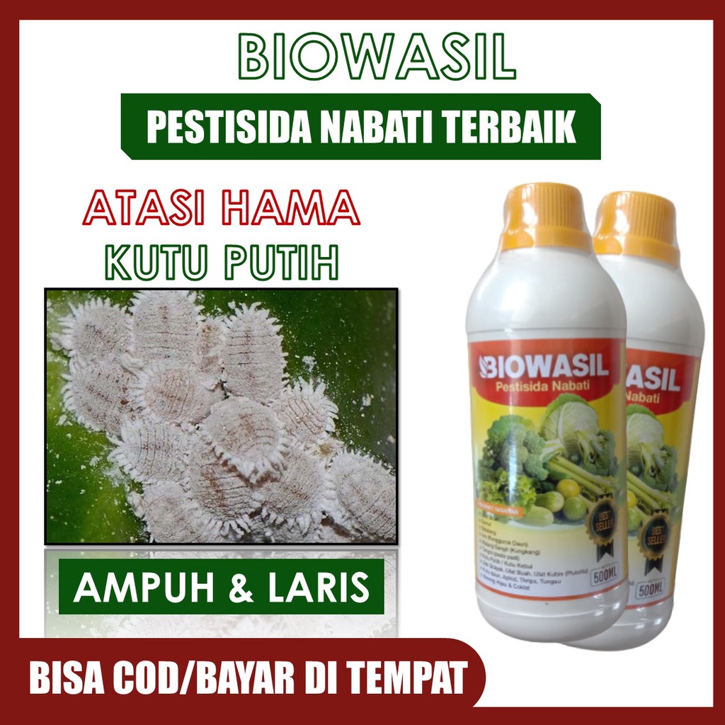 (COD AMAN) Pupuk Pestisida Nabati Anti Hama Kutu Putih / Kutu Kebul pada Cabe, Tomat, Anggur, jambu,