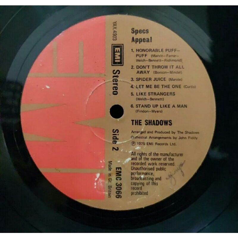 Vinyl Piringan Hitam 12&quot; God Only Knows