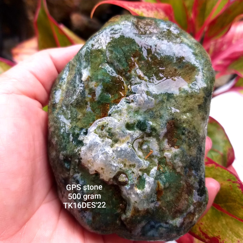 PROMO  BONGKAHAN BADAR LUMUT AKIK SUPER / ROUGH SUPER KRISTAL / Rough Bahan Batu BADAR LUMUT SUPER a