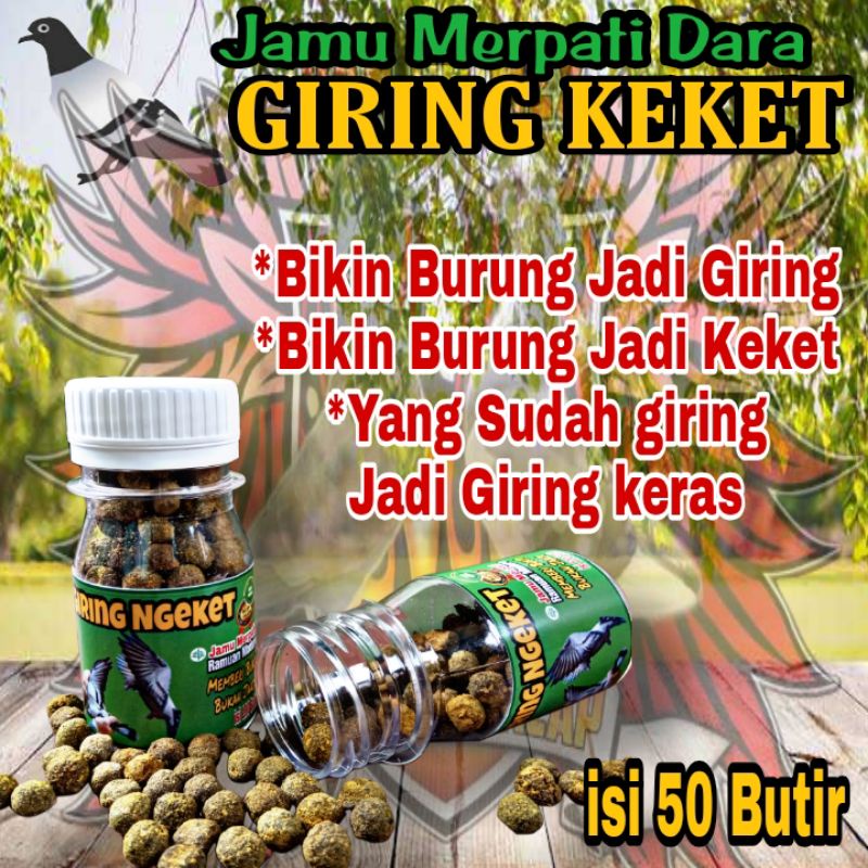 AMPUH Jamu Merpati GIRING KEKET  sarang walet ferfect power jamu ginseng teki merpati jamu obat Giri