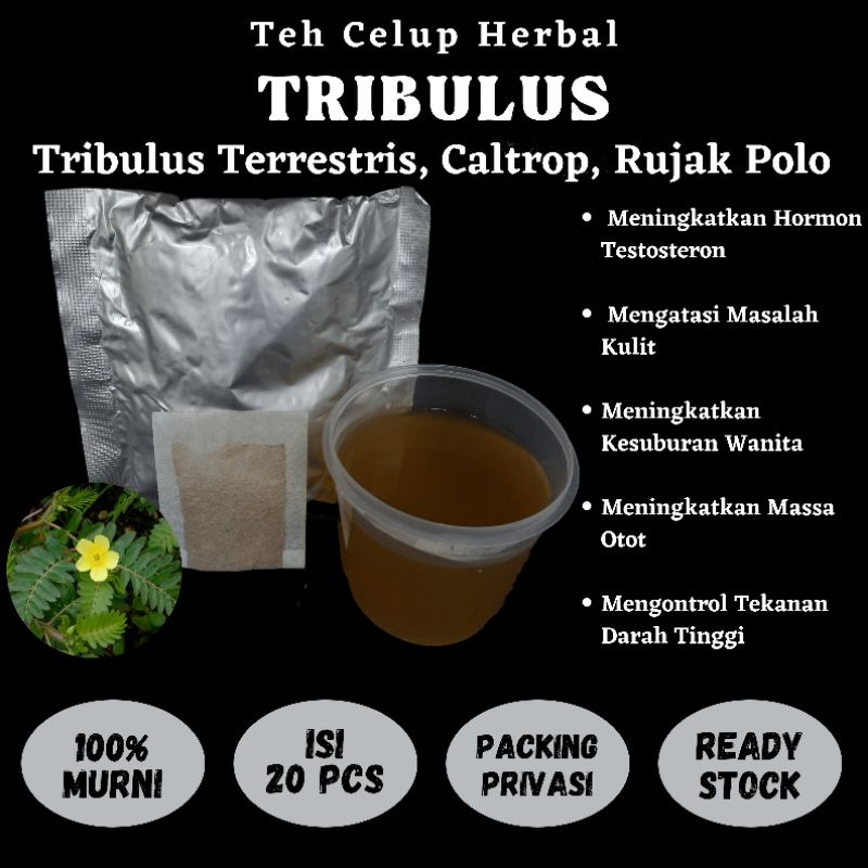 

Teh Celup Herbal TRIBULUS Kesuburan Hormon Testosteron Massa Otot