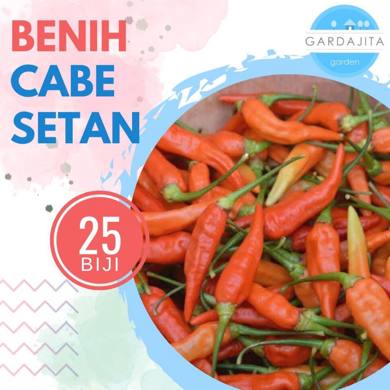 Jual Benih Cabe Setan Isi 25 Biji Bibit Cabai Super Unggul Shopee Indonesia 