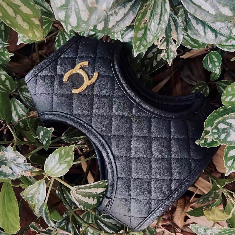 Leather premium Pawnel gold logo harness set