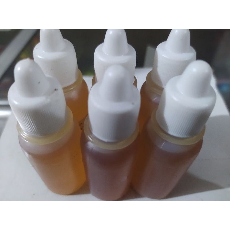 Essen Bulus oil Biang Murni Oil Base, High Concentrate