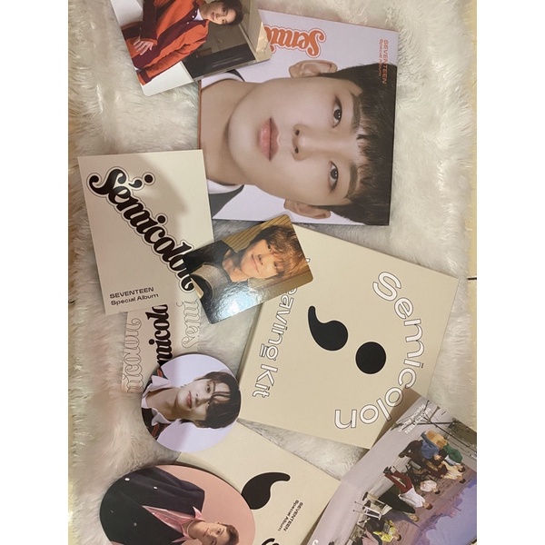 Seventeen Semicolon Wonwoo