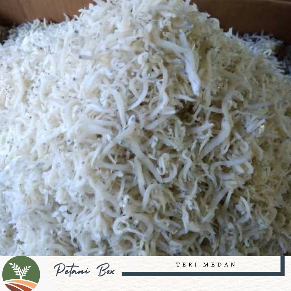 Ikan Teri Nasi Medan Petani Box Asinan Berkualitas Kota Bandung