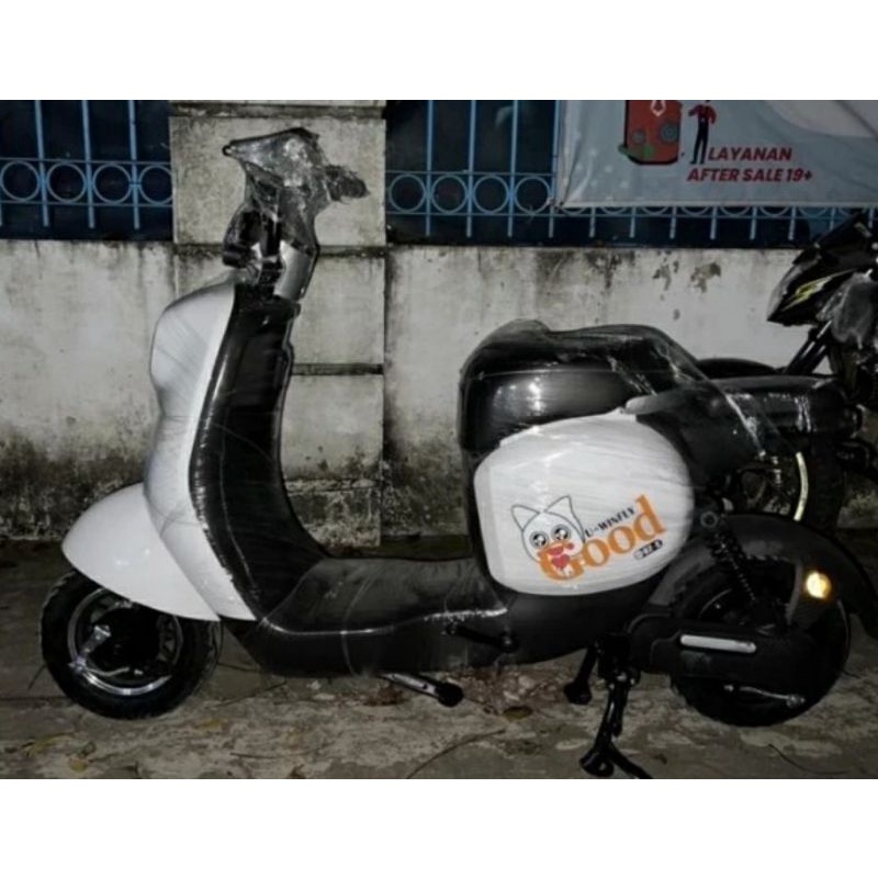 Sepeda motor listrik UWINFLY U2S Electric E Bike 800 watt