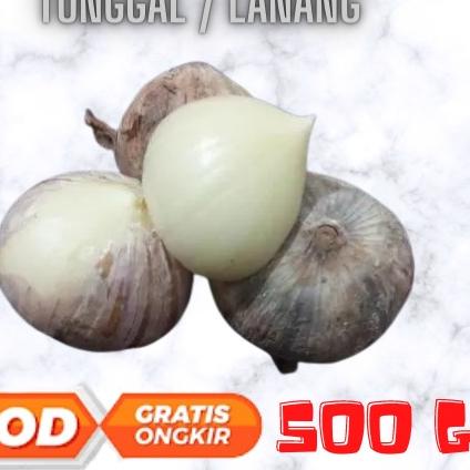 

GRATIS ONGKIR✅Bawang Putih Tunggal Lanang 500Gr|RA2