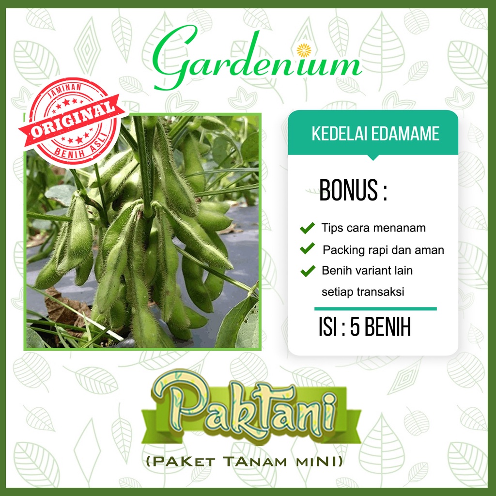 Jual 5 Benih Kedelai Edamame (Varietas Ryoko 75) Kacang Jepang Unggul