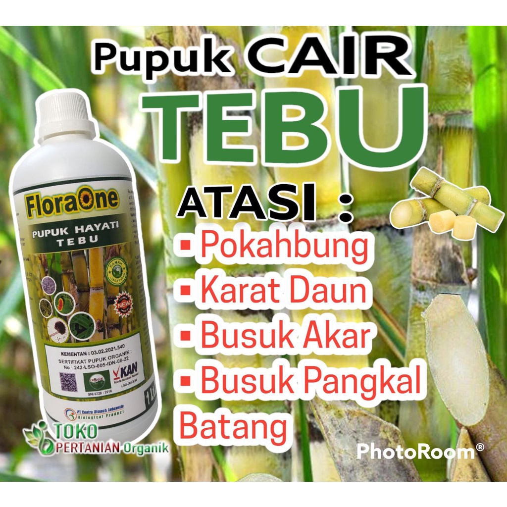 Jual Pupuk Cair 1 L Tanaman Tebu Supaya Cepat Besar Obat Floraone Hayati Cair Untuk Perkebunan 6589