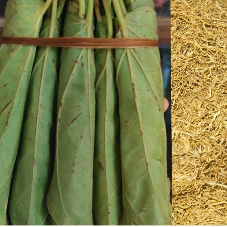 

Terlaku.../ Kuning Btu Karang Untuk Sirih Medan