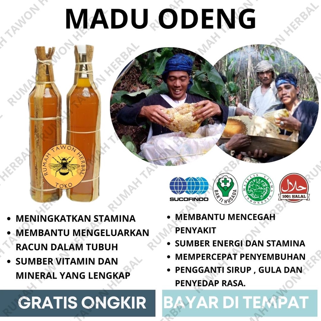 

MADU HUTAN MURNI - Madu Odeng Asli Hutan Baduy - Madu Murni Suku Baduy 100% ASLI