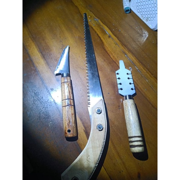 1 set gergai + spin + pisau stek bonsai