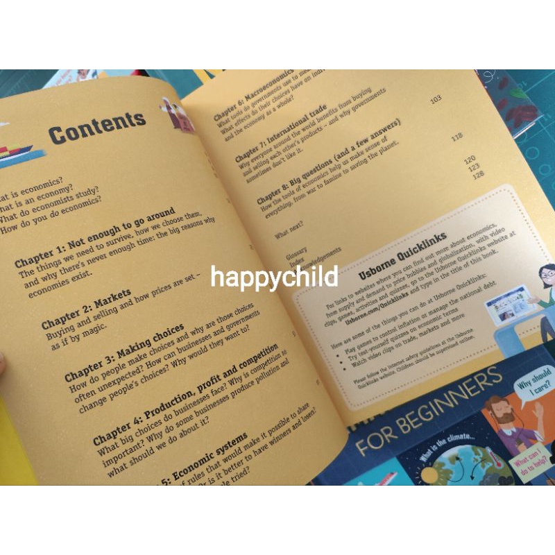 Original Usborne Economics for beginners hard cover buku impor happychild