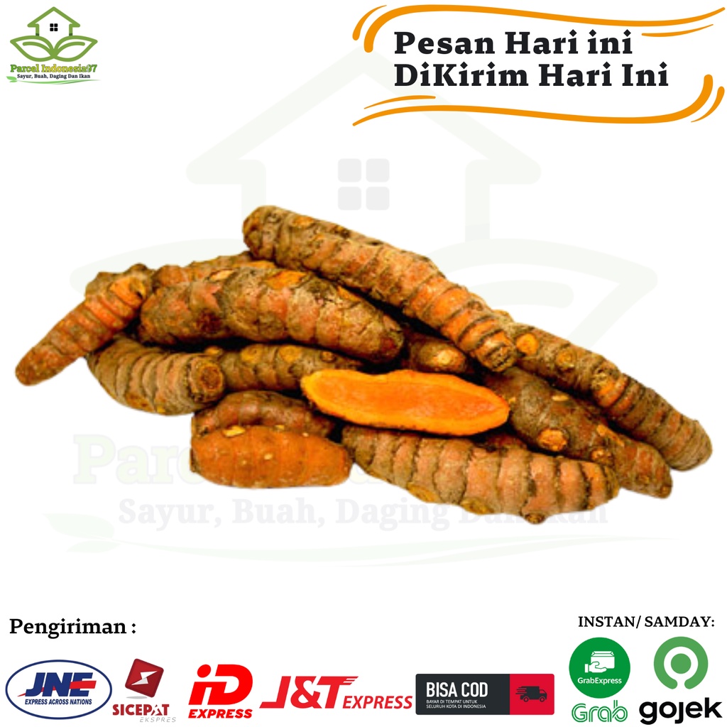 

Kunyit Kuning Koneng Segar 500gram parcel indoensia