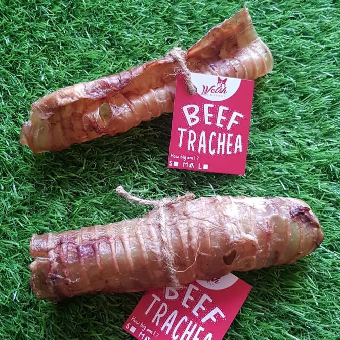 

[BISA COD] Beef trachea medium