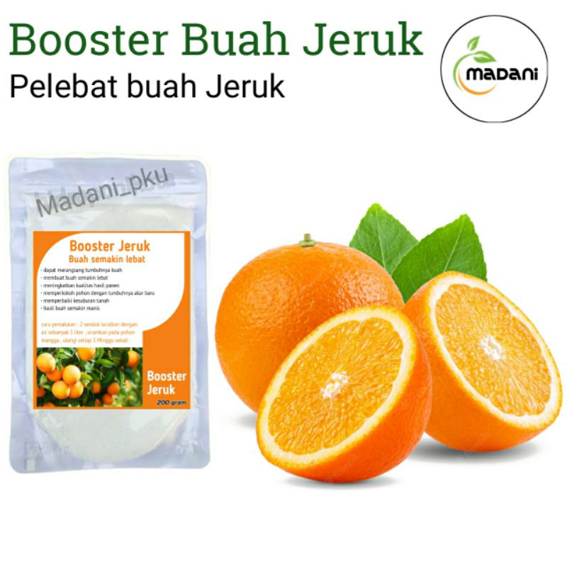 booster jeruk pupuk buah jeruk