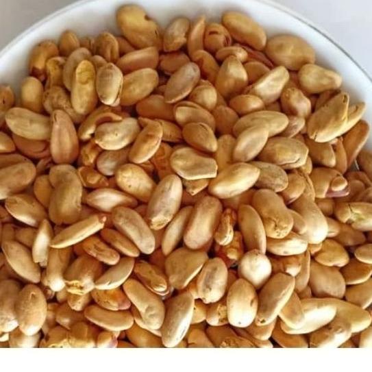

LKJ-74 Kacang Kedaung kacang Biji kedawung jumbo goreng siap makan enak gurih 500 gram Bukan Barang KW