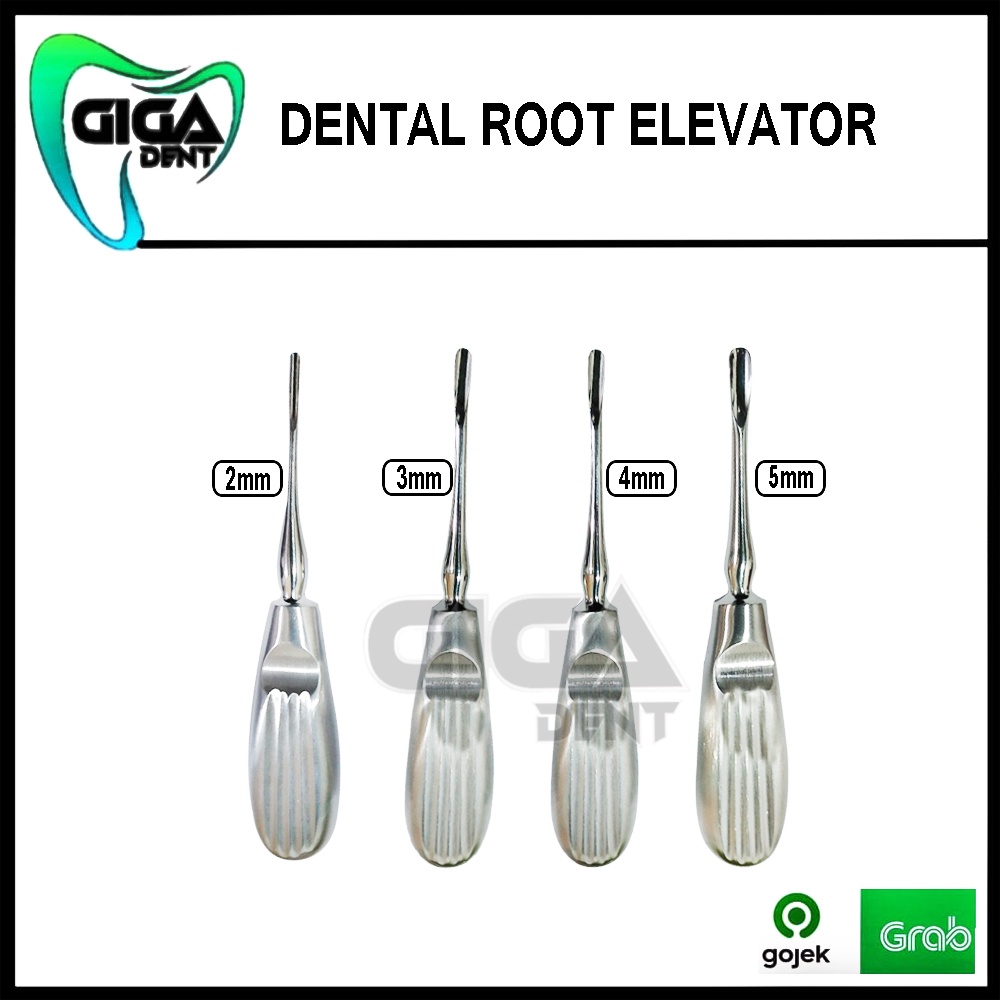 Jual DENTAL ROOT ELEVATOR / BEIN / LUXATOR SATUAN ALAT CABUT GIGI