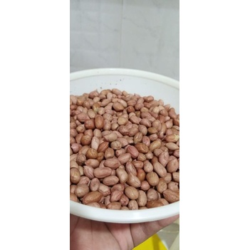 

kacang tanah premium