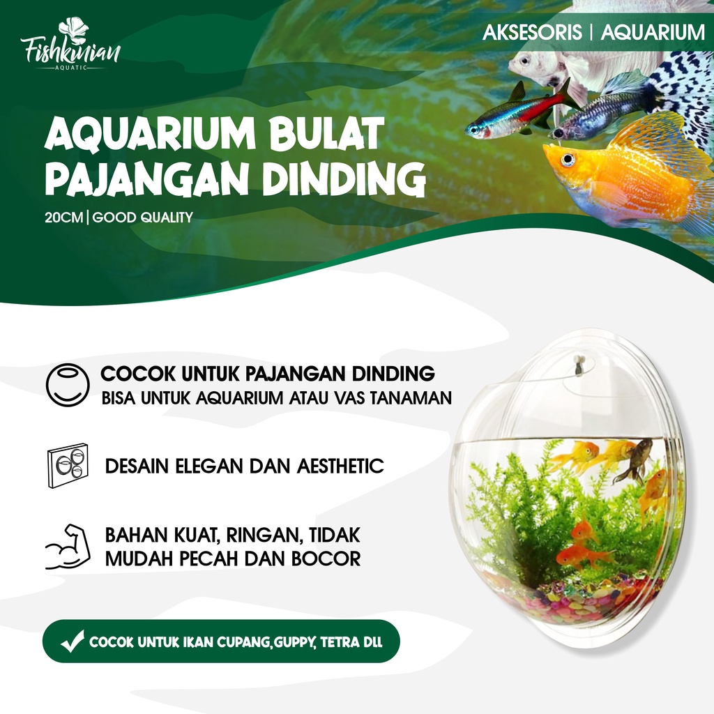 AQUARIUM AKRILIK DINDING BULAT 20CM