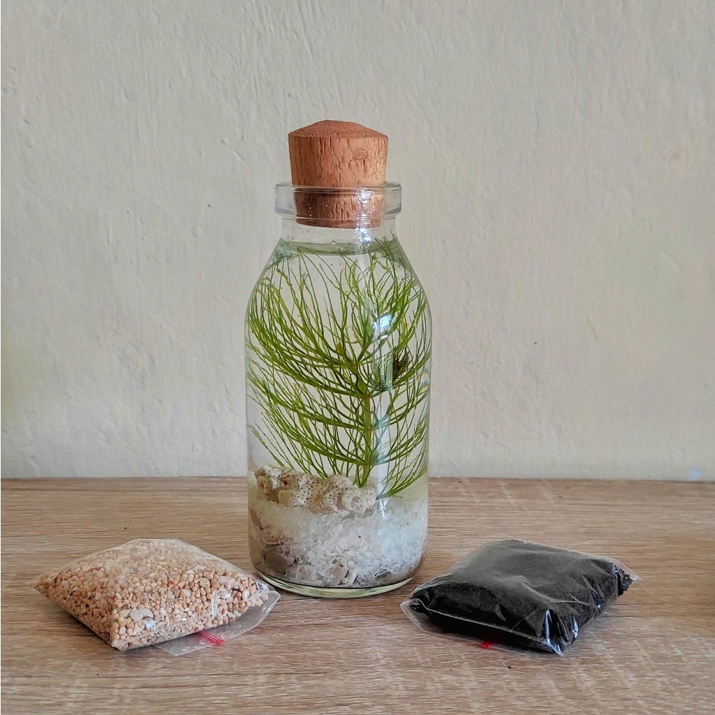 [DIY] Mini Aquatic - Aquabottle Kit 100 mL - NEW