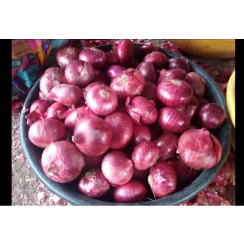 

RED ONION INDIA / BAWANG MERAH INDIA 1kg