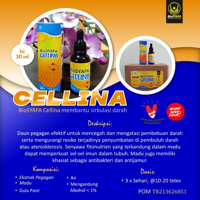 BIOSYAFA BIOKIDS ANAK PROBIOTIK ALAMI