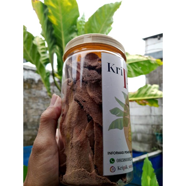 

KERIPIK PISANG COKLAT KEMASAN TOPLES