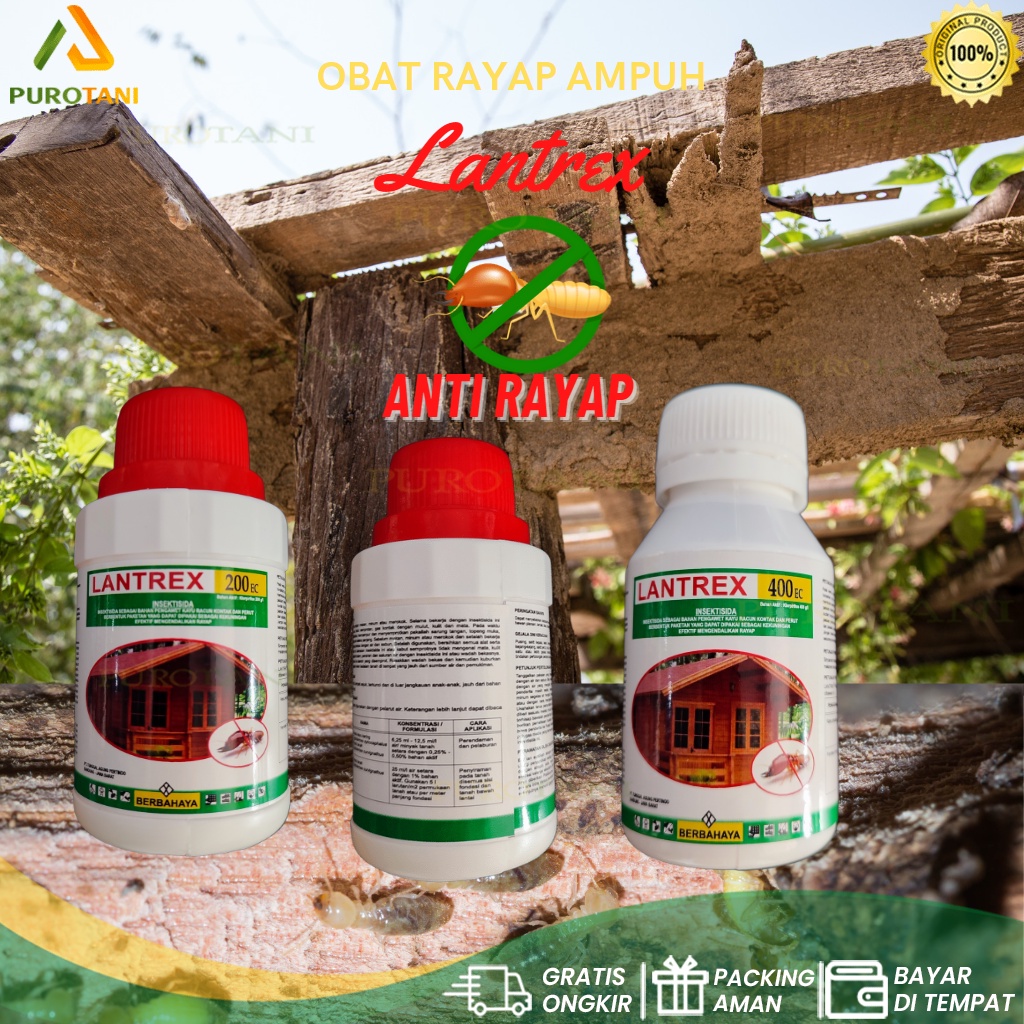 Termisida Obat Rayap Lantrex 100ml racun basmi anti rayap