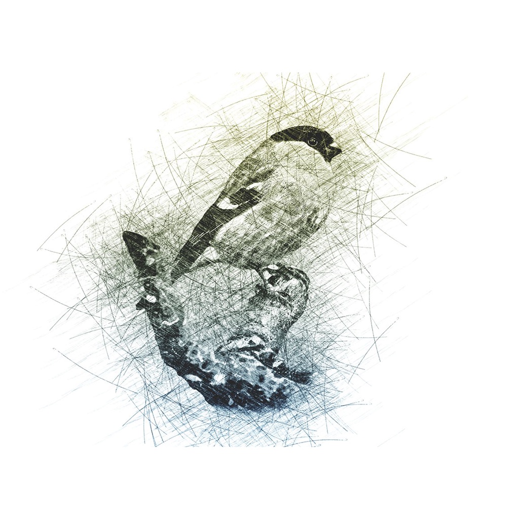 Pure Sketch Photoshop Action