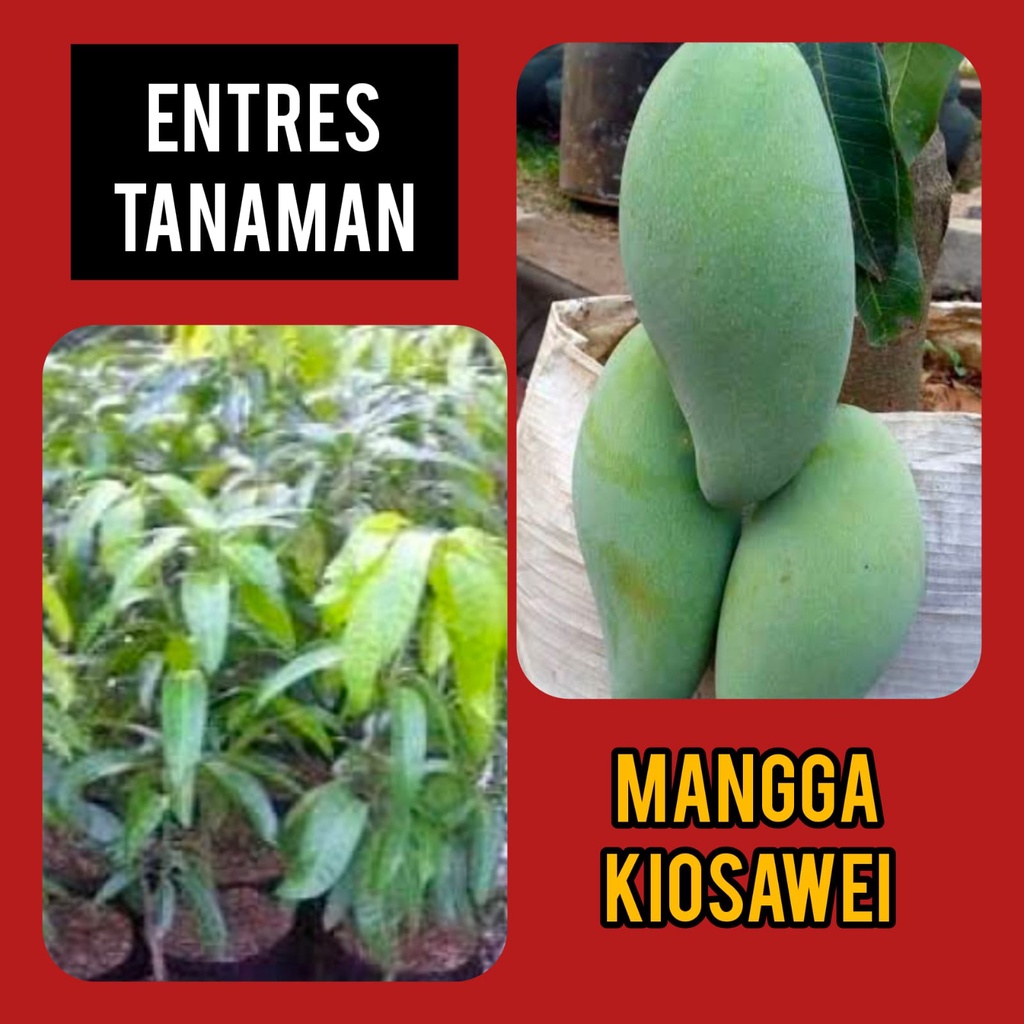 Entres Mangga Kiosawei