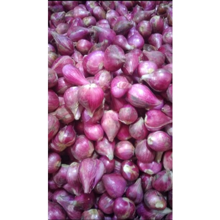

Bawang Merah Campur