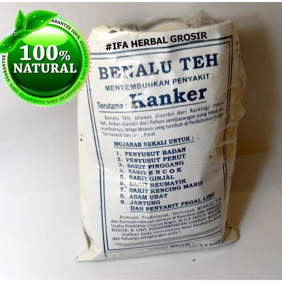 

[BISA COD] Jamu Herbal Tradisional Tanaman Obat BENALU TEH Untuk Penyakit Kanker