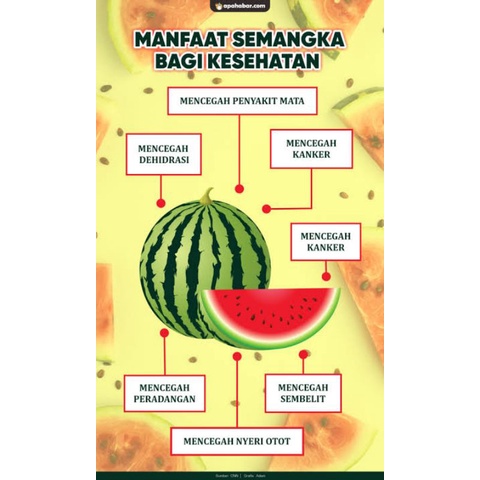 50 Benih Semangka merah F1