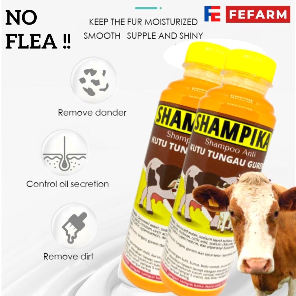 SAMPO KUDA SAPI KAMBING SHAMPIKA SHAMPO PENGHILANG KUTU PARASIT CAPLAX TUNGAU FEFARM
