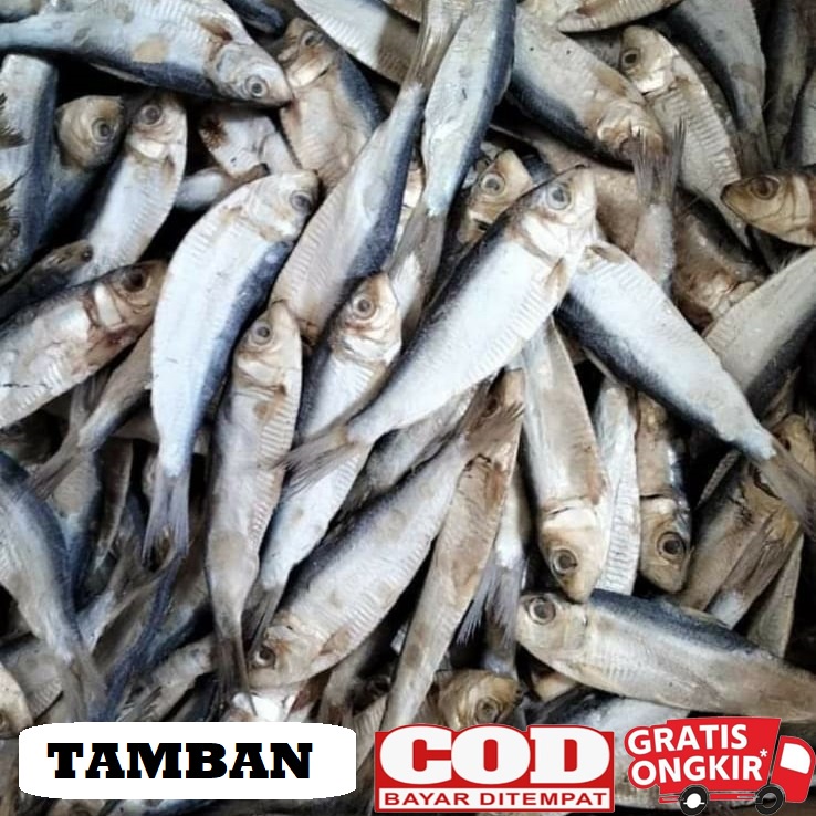 

Ikan asin tembang 100 gram / Ikan asin tamban