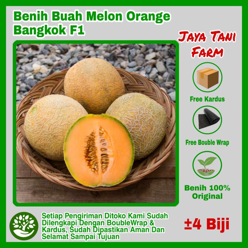 4 Biji Benih Melon Orange Bangkok F1 /  Benih Buah / Bibit Buah / Biji Buah / Benih Melon / Bibit Me