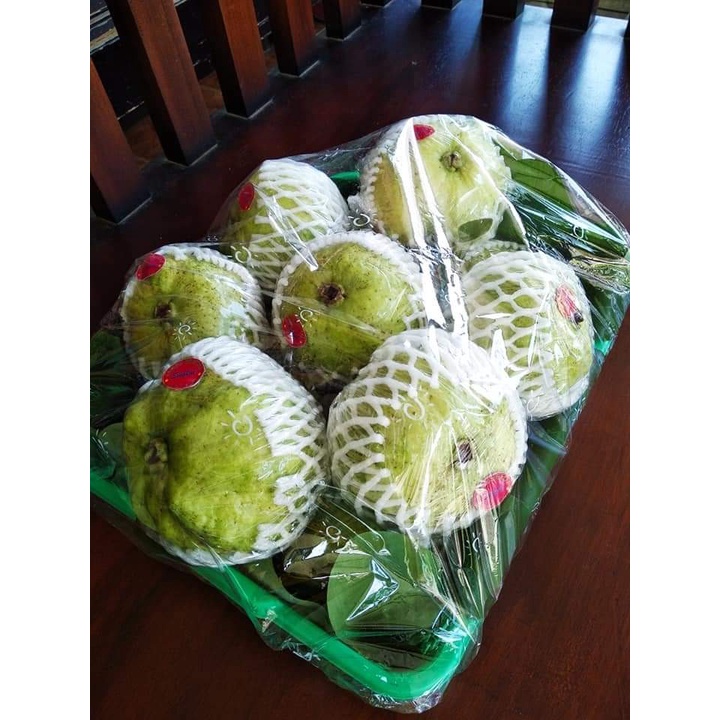 

JamKis Buah Jambu Kristal Super JUMBO PREMIUM 1KG