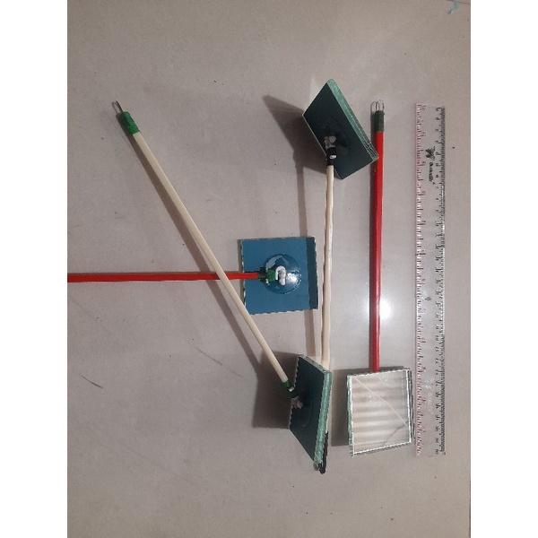 Cermin latih channa/cupang/Louhan