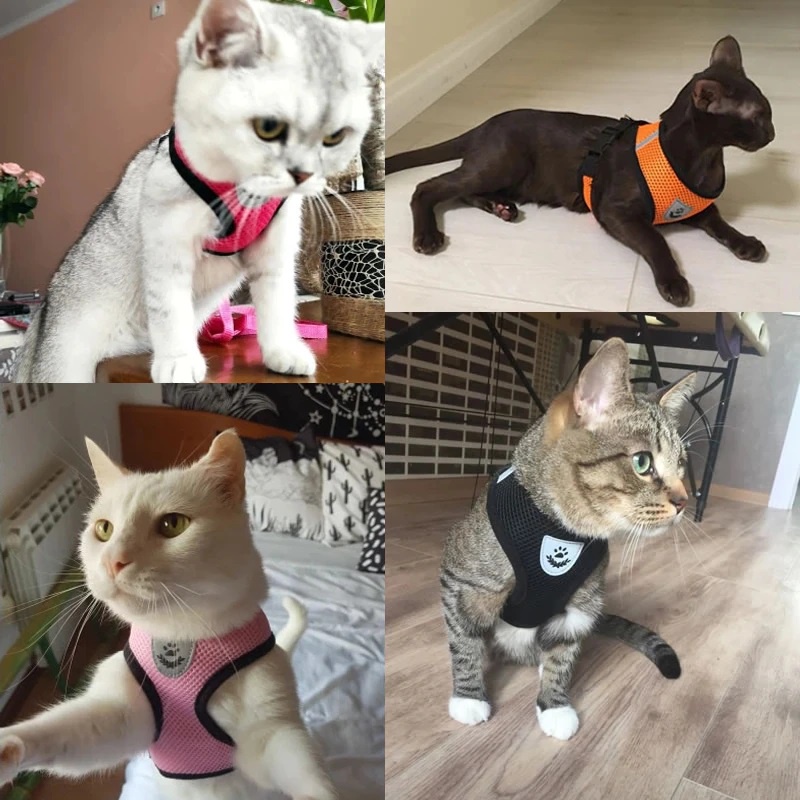 Rompi Tali Tuntun untuk Anjing / Kucing/ Harness Adjustable