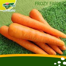 

wortel Segar 250gr Medan | Frozy Farm (termurah)