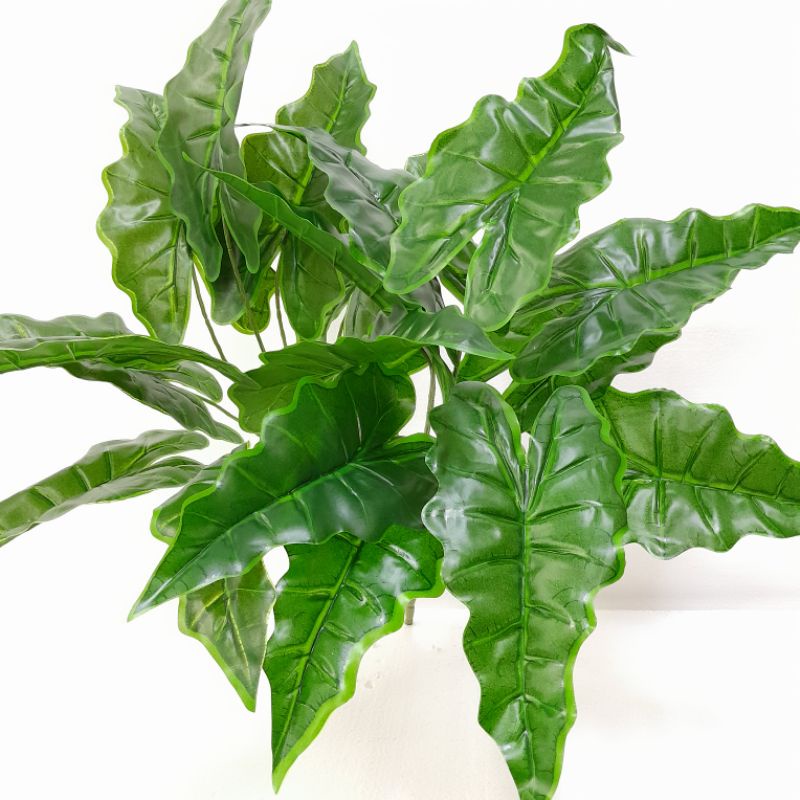 Tanaman daun keladi palsu artificial / keladi latex premium / keladi import