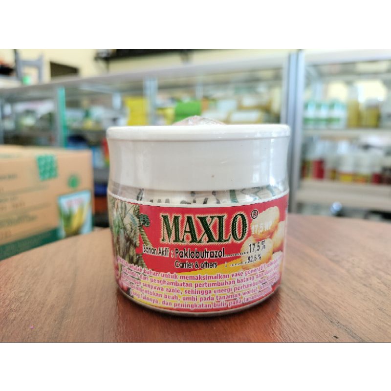 ZPT pembesar umbi MAXLO 17,5 WP