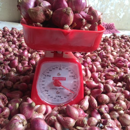 

Bawang merah brebes kering dan berkualitas 1kg Bawang Merah Berebes 1kg