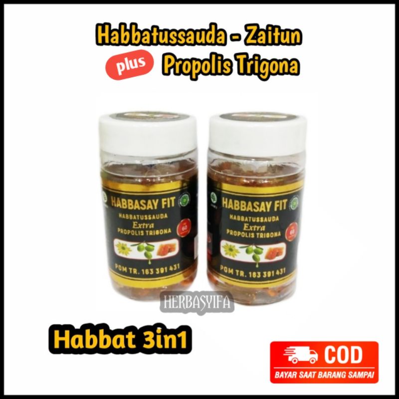 Habbasay Fit 60 Kapsul - Habbatussauda Plus Propolis Trigona  Habbats 3in1