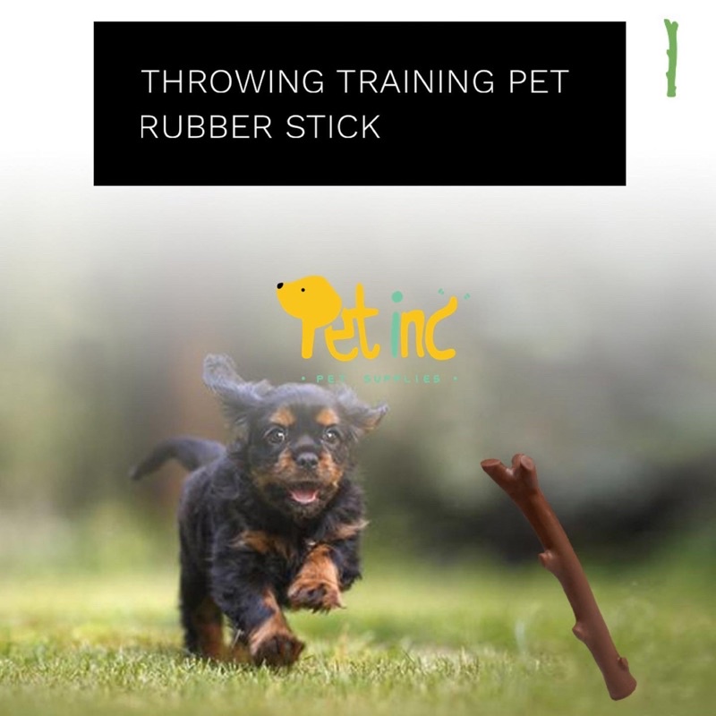 Throwing training pet stick