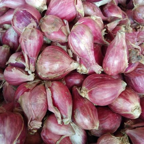 

(PROMO 0ED57) Bawang Merah Brebes Super 1kg ✯