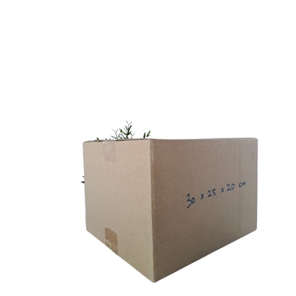 

Termurah Kardus Uk 30x25x20cm packing polos