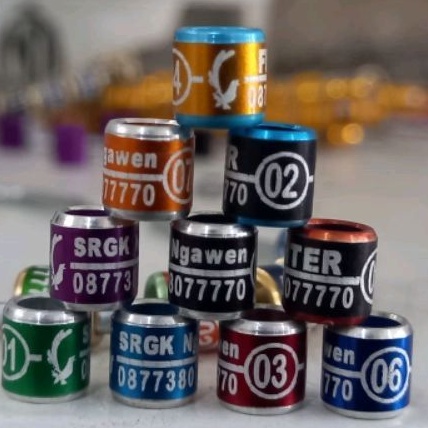 RING BURUNG LASER MK  GT 7 LIST SILVER MURAI PERKUTUT LOVEBIRD MURAI MERPATI KENARI